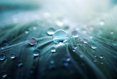 ​世上无难事造句,用世上无难事怎么造句