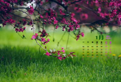 ​比造句,用比怎么造句