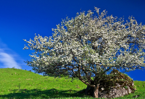 1687627377168414.png image.png