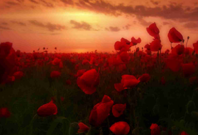 ​区造句,用区怎么造句