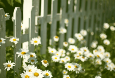 ​害怕造句,用害怕怎么造句