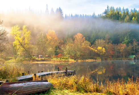 1687628710921751.png image.png