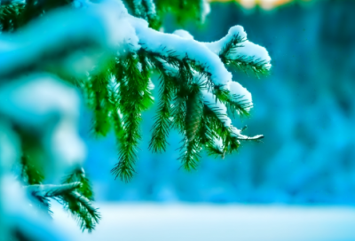 ​九曲十八弯造句,用九曲十八弯怎么造句