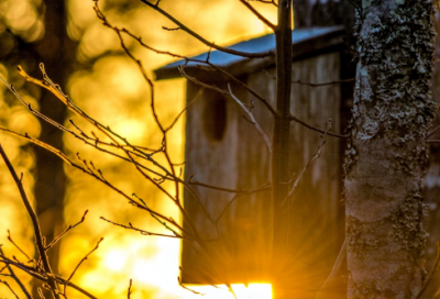 ​杯盘狼藉造句,用杯盘狼藉怎么造句