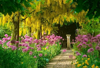 ​百思不得其解造句,用百思不得其解怎么造句