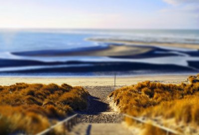 ​分子造句,用分子怎么造句