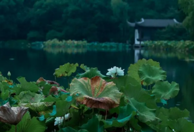 ​门造句,用门怎么造句