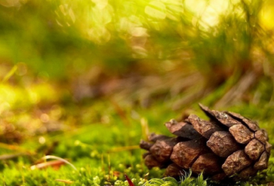 ​柴米油盐酱醋茶造句,用柴米油盐酱醋茶怎么造句