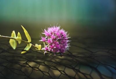 ​想念造句,用想念怎么造句