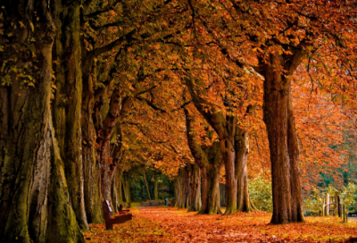 ​像造句,用像怎么造句