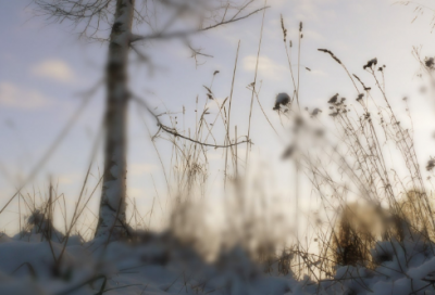 ​眼中钉造句,用眼中钉怎么造句