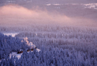 ​快造句,用快怎么造句