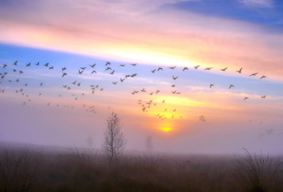 ​们造句,用们怎么造句