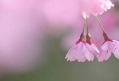 1687641380618469.png image.png