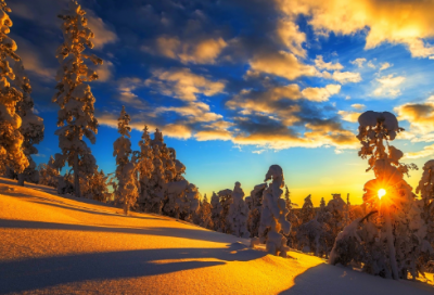 ​庐山真面目造句,用庐山真面目怎么造句