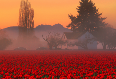 ​当夜幕造句,用当夜幕怎么造句