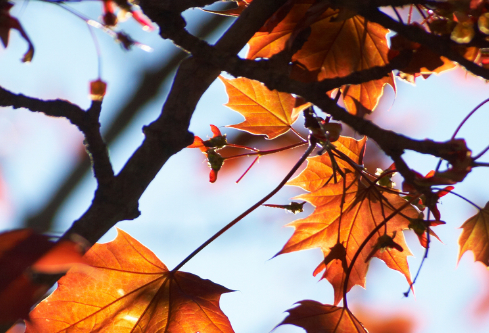 1687645049610834.png image.png