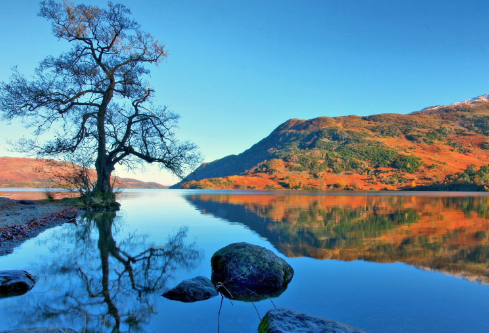 1687677060104450.png image.png