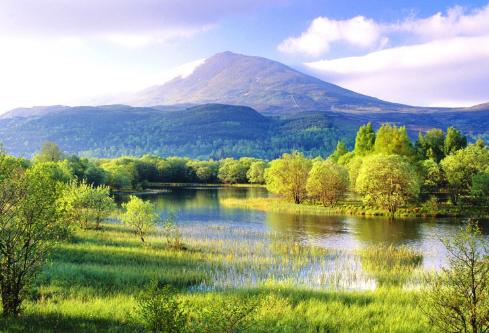 1687677727354263.png image.png