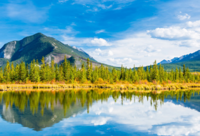 ​aabb式的词语有哪些(AABB式的词语大全)