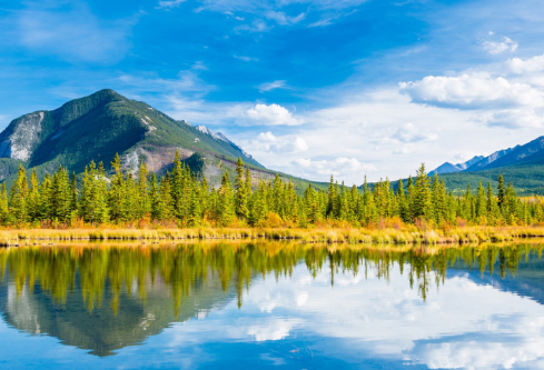 1687678560104443.png image.png