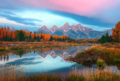 ​专心致志的近义词