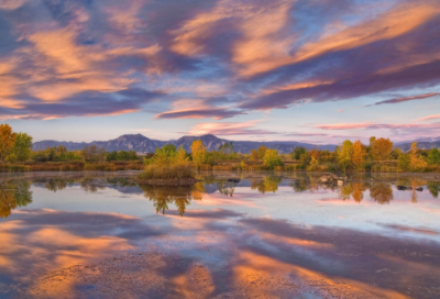 ​显示的近义词