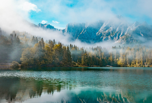 1687682228399396.png image.png