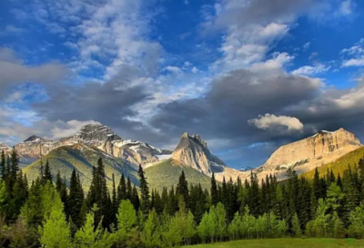 ​著名的近义词