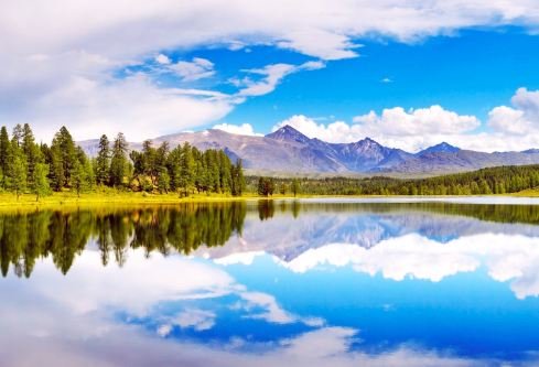 1687684728437063.png image.png