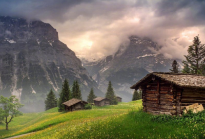 ​花的词语有哪些（关于花的成语）