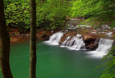 ​四字成语大全及解释（小学常用四字词语大全）