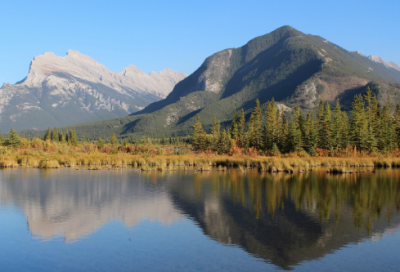 ​春日的诗意和注释（春日古诗词语解释）