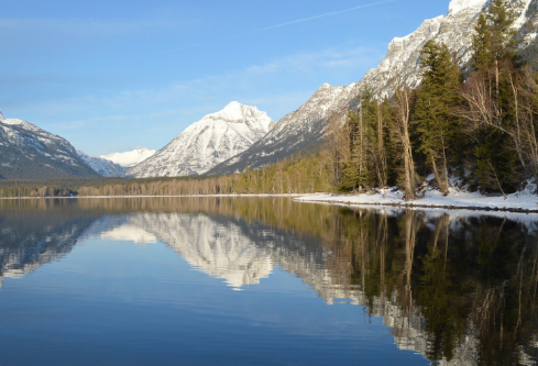 1687687729908254.png image.png