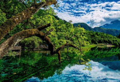 ​描写星空的词语有哪些（星空意境的唯美句子）