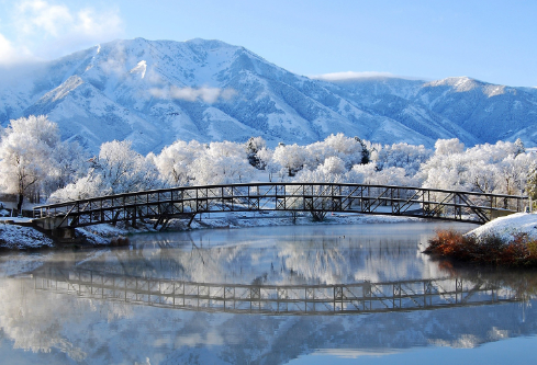 1687689395696872.png image.png