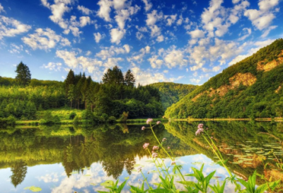 ​描写人物动作的词语有哪些（人物外貌的词语及句子）