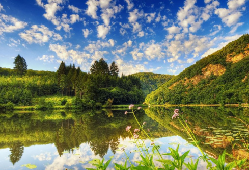 1687691568193449.png image.png