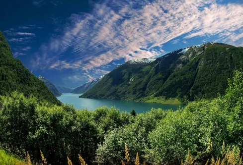 1687692068591329.png image.png