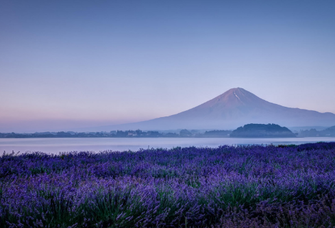 1687692235953857.png image.png