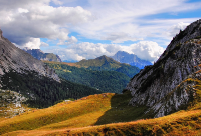 ​关于爱的成语（形容世界充满爱的词语）