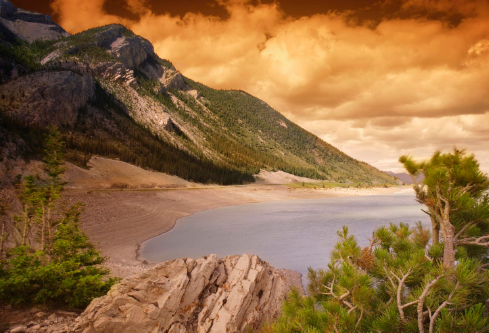 1687692735498973.png image.png