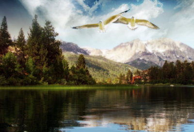 ​祝老人长寿的词语有哪些（赞美老年人健康的词语）