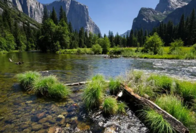 ​表示绿色的四字词语有哪些（绿色成语大全四字成语）