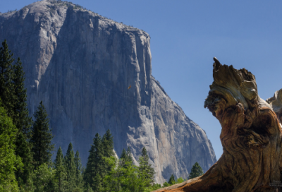 ​形容力量的词语（形容力量强大有气势的词语）