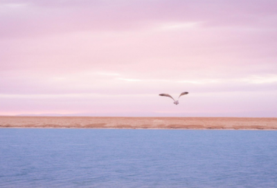 ​一小撮造句,用一小撮怎么造句