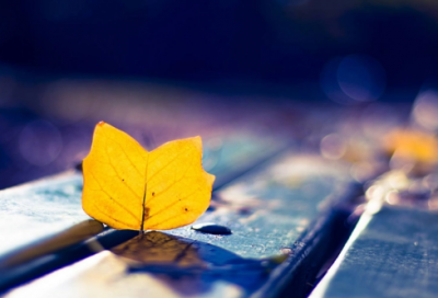 ​少造句,用少怎么造句