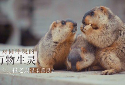 ​美丽造句,用美丽怎么造句