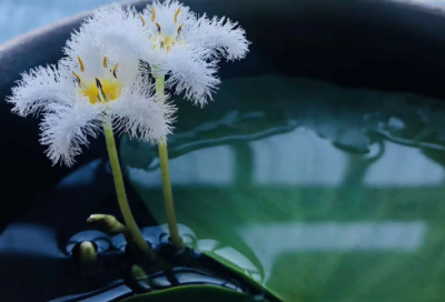 ​zhu的成语(筑的成语)