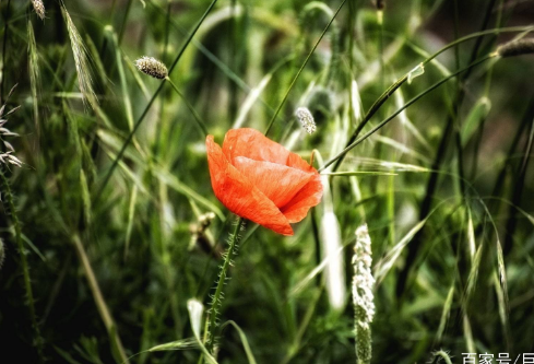 1687838773994694.png image.png